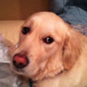 Meet your Posher, Molly